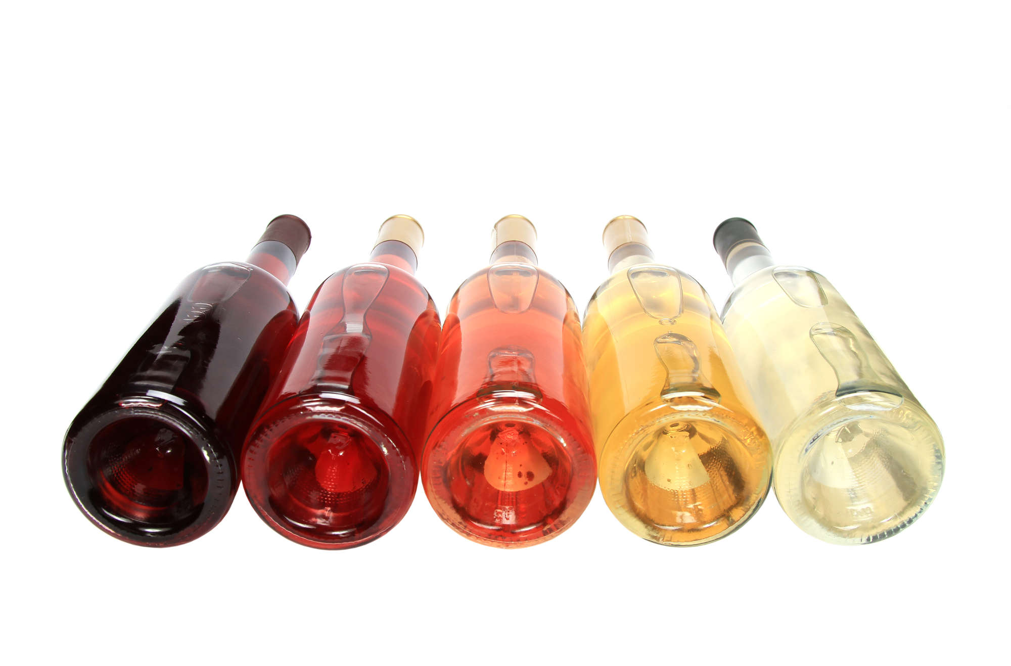 Close-up of wine bottles on a white background — understanding tasting terms helps you choose between bottles with confidence