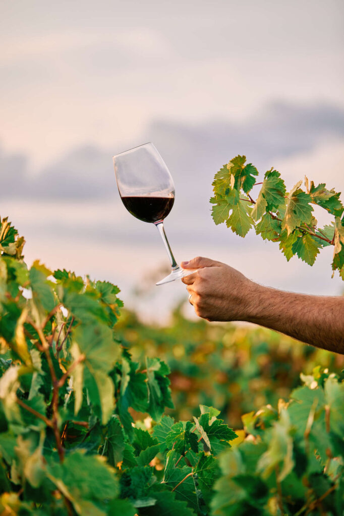 Does Grenache Go with Yogurt?