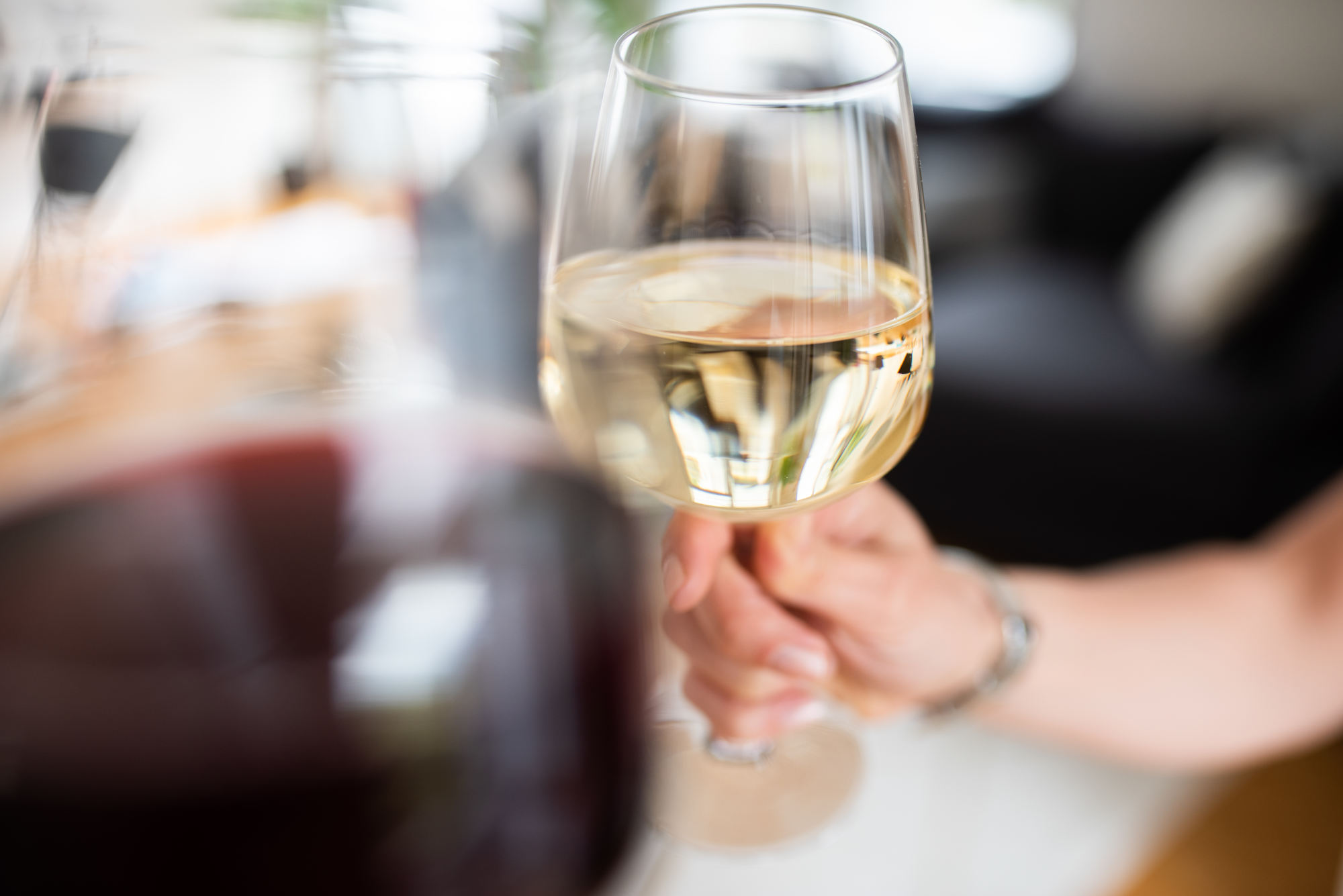 A glass of dry white wine held up to the light — dry wine contains almost no residual sugar, despite often tasting vibrant and fruity