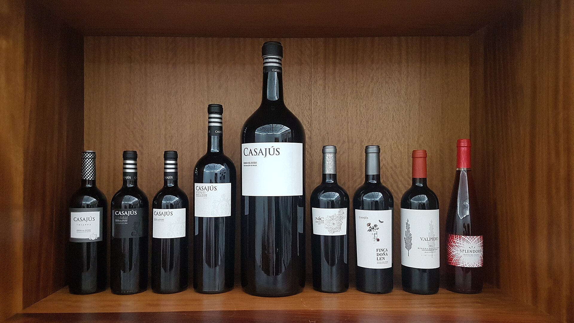 Wine bottles stored in a cellar — from the half bottle to the giant Nebuchadnezzar, every wine bottle size has a name, a history, and a practical purpose