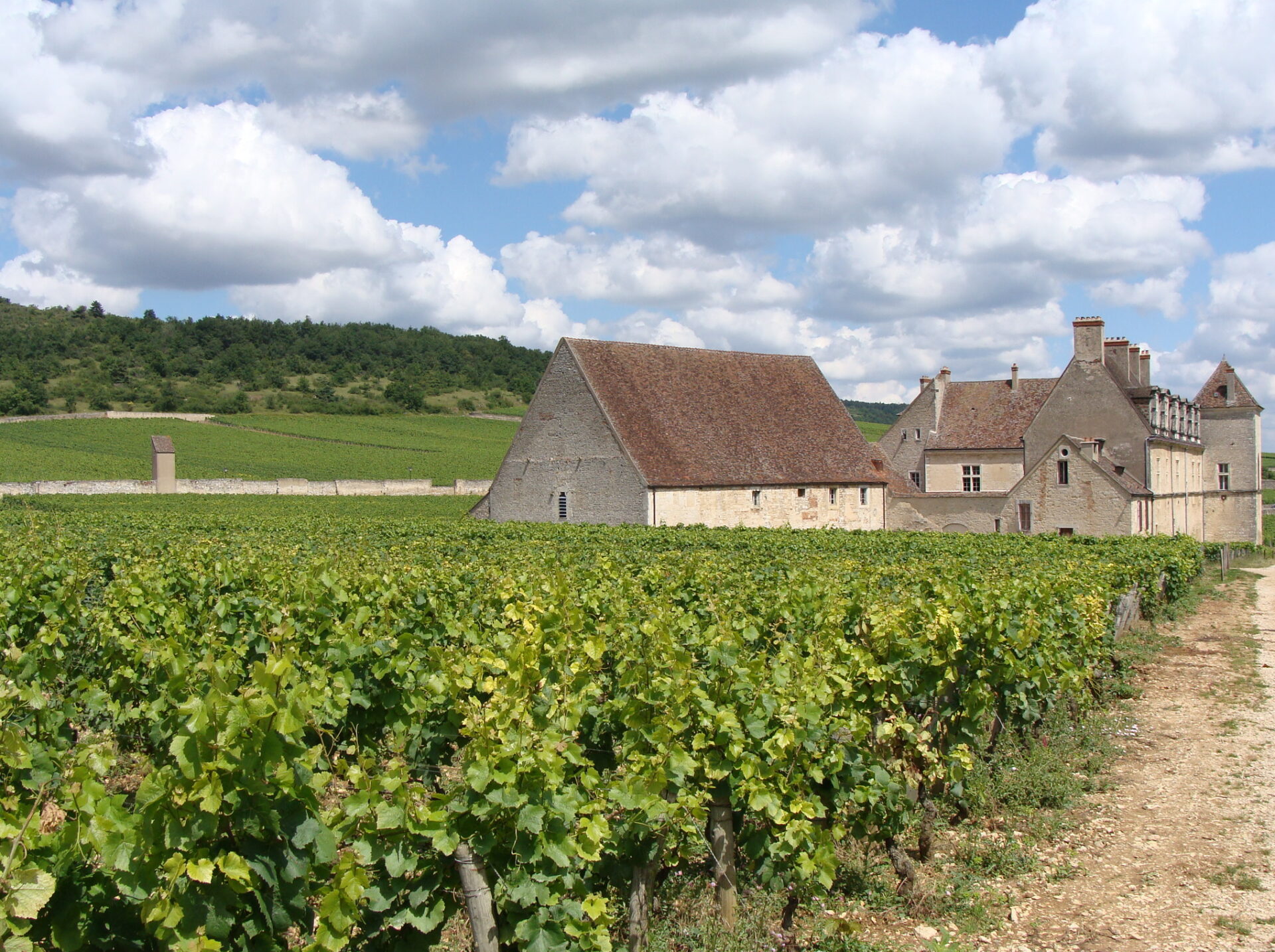 Clos de Vougeot Grand Cru vineyard and chateau in Burgundy France