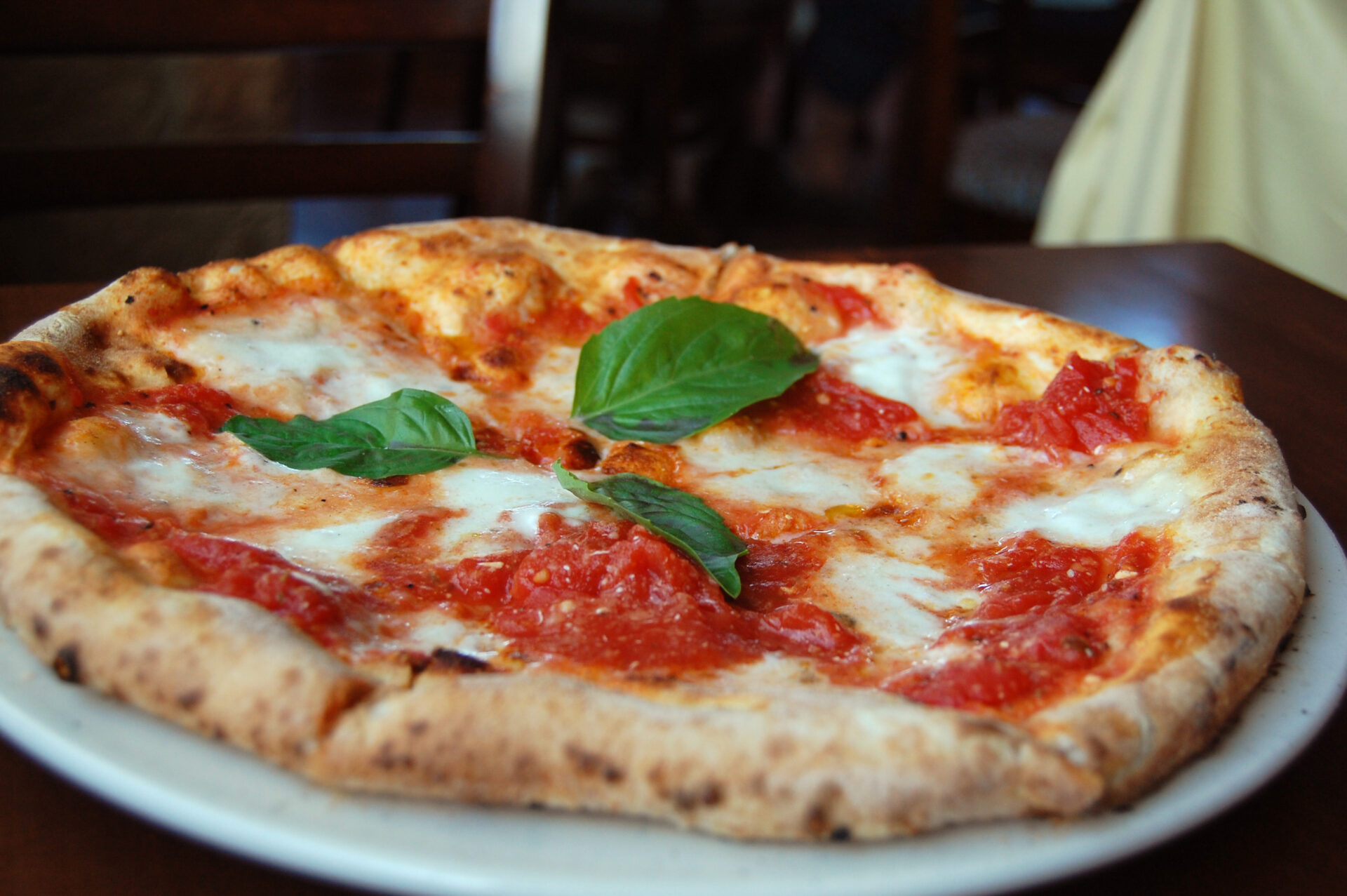 A freshly baked Pizza Margherita with tomato sauce, melted mozzarella and fresh basil — the pizza that defines the classic wine and pizza pairing