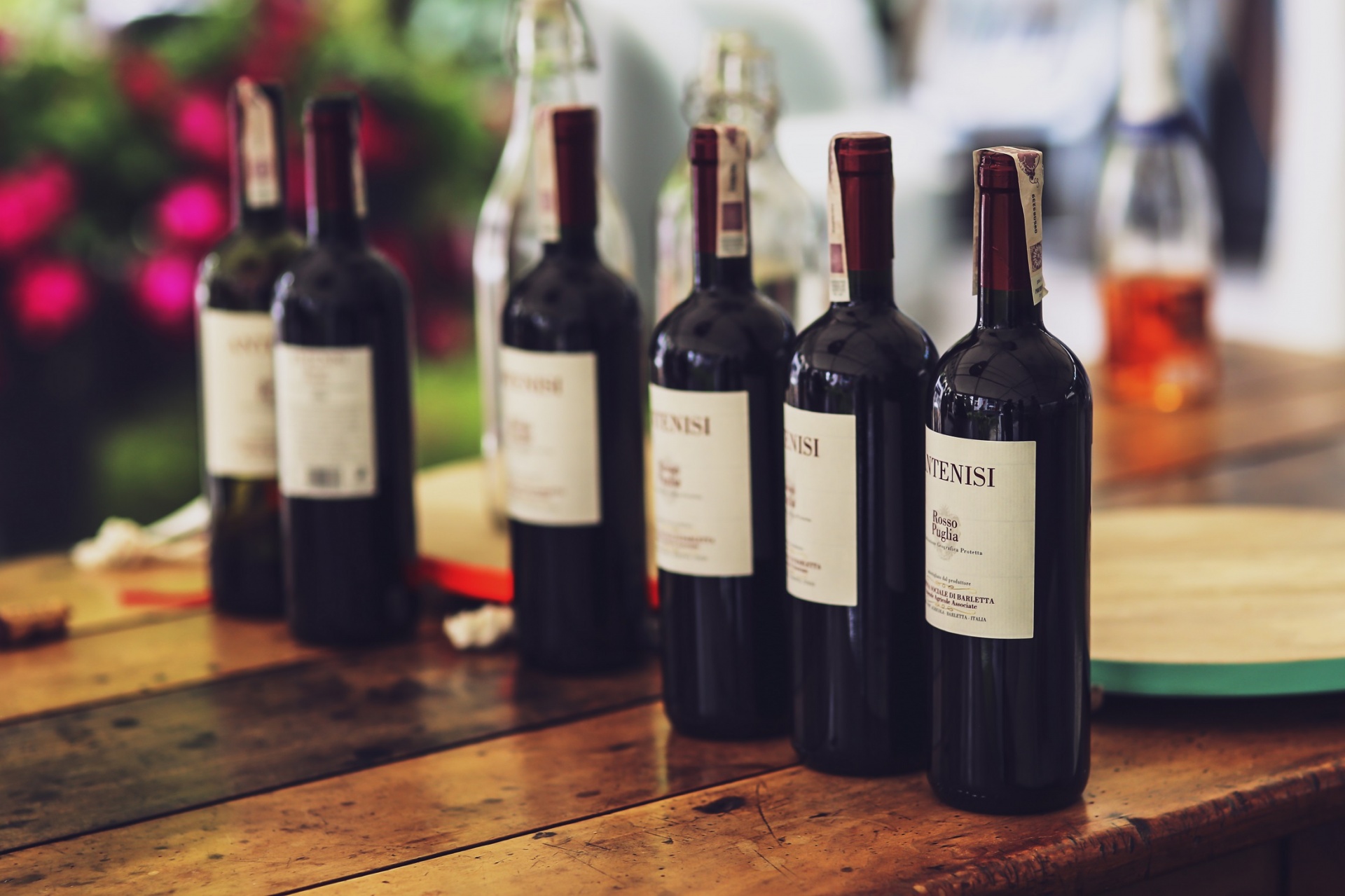 Red wine bottles lined up — for richer salmon preparations like teriyaki or gravadlax, a light red can be a surprisingly good pairing