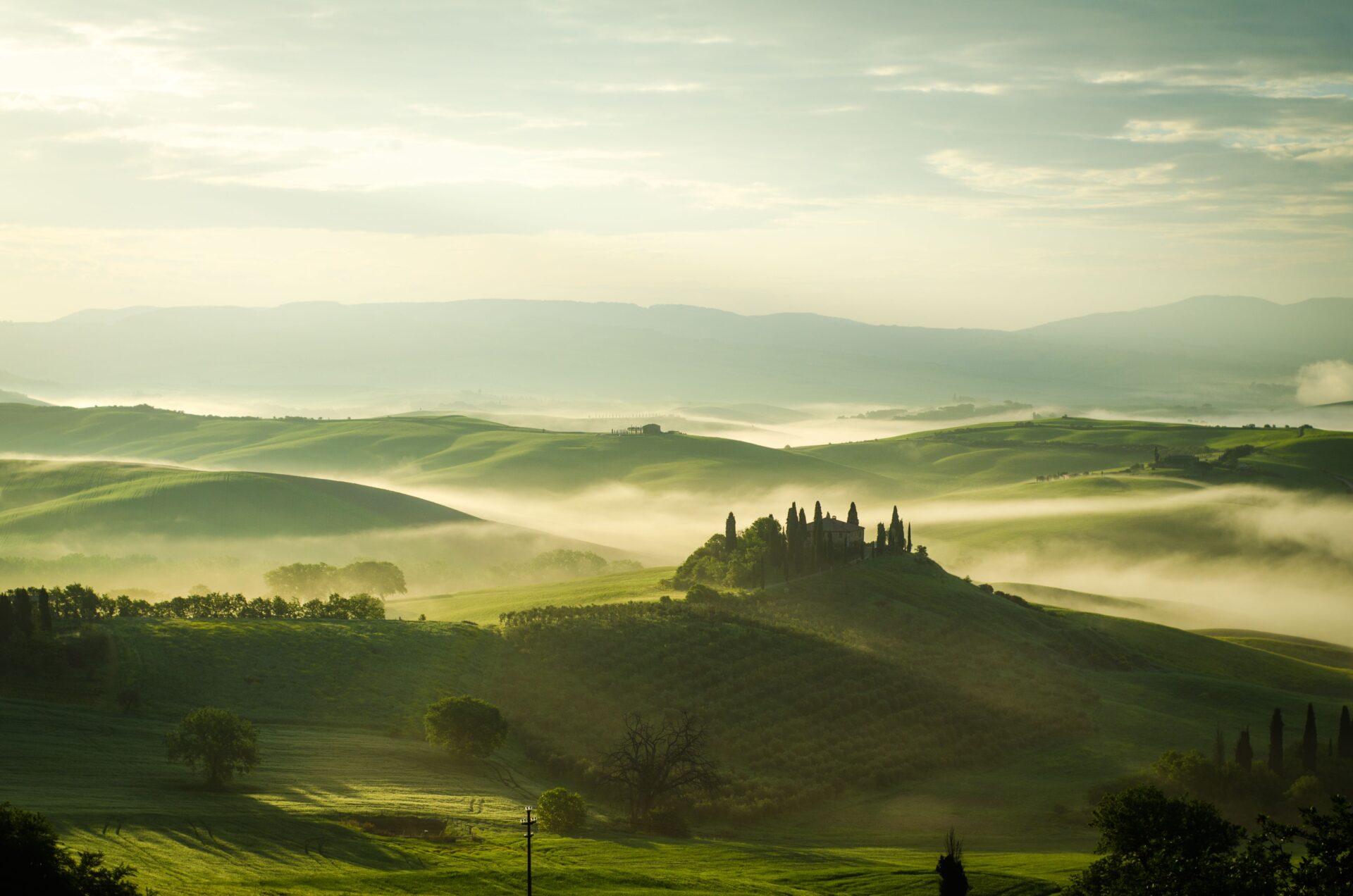 Fog rolling over hillside vineyard country in autumn